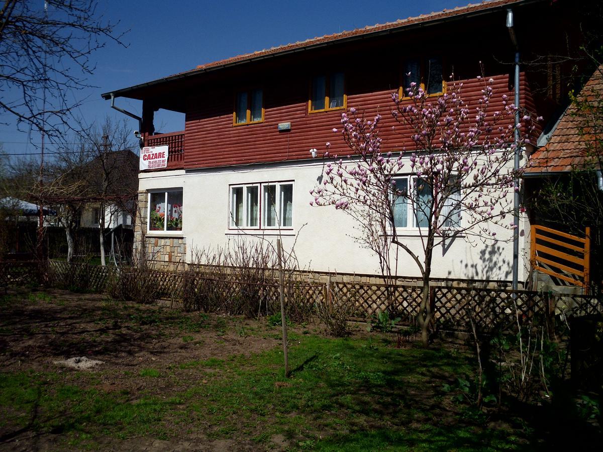 Vila Mihaela บราซา ภายนอก รูปภาพ