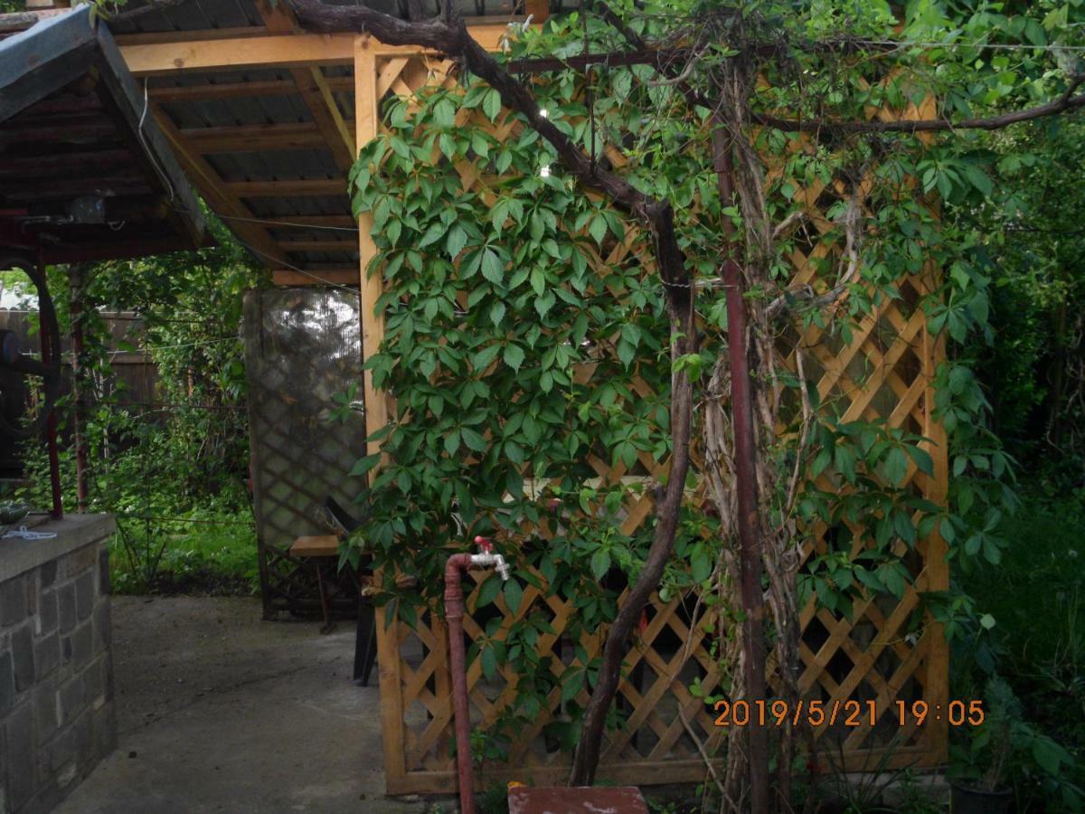 Vila Mihaela บราซา ภายนอก รูปภาพ
