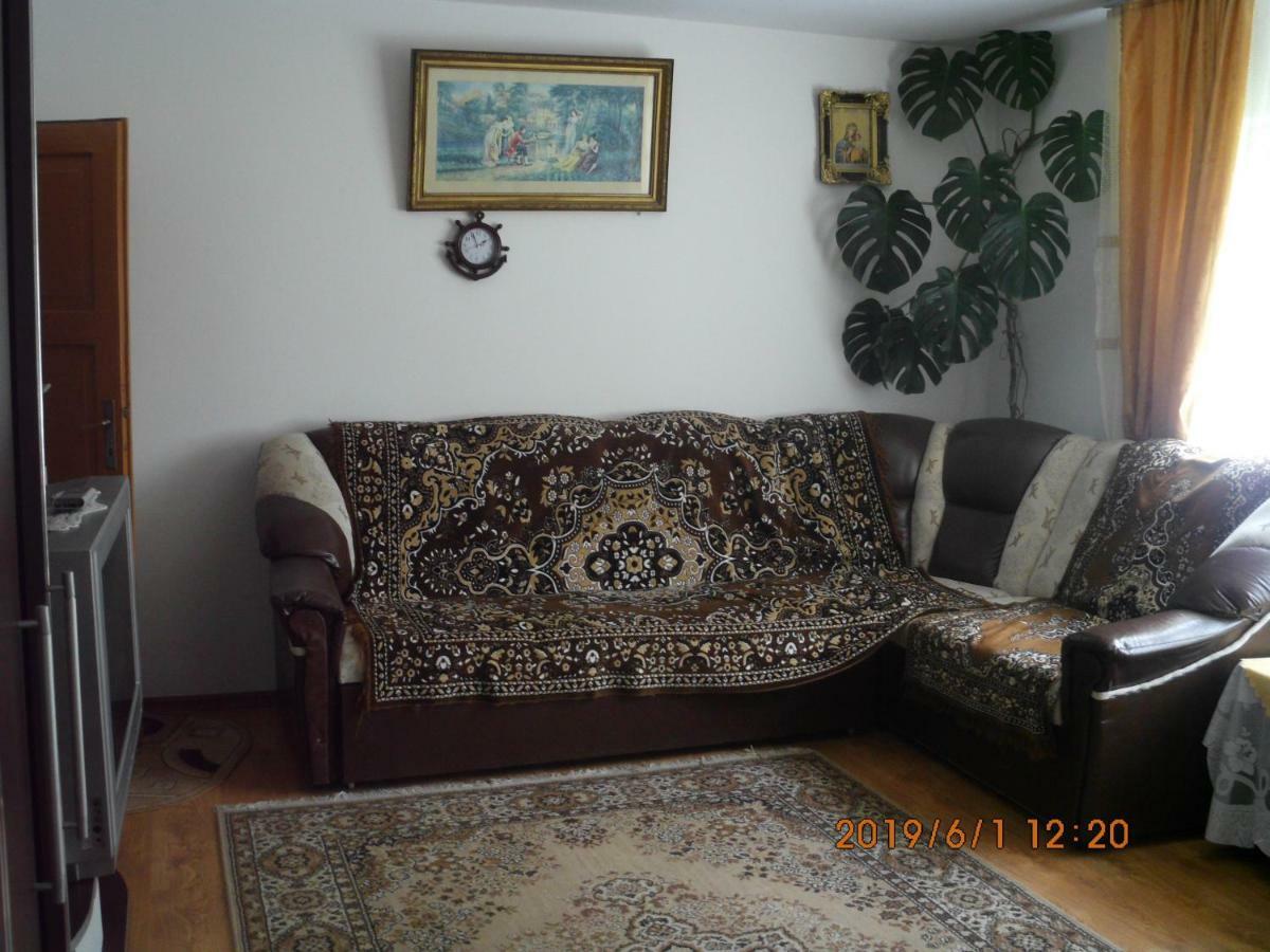 Vila Mihaela บราซา ภายนอก รูปภาพ