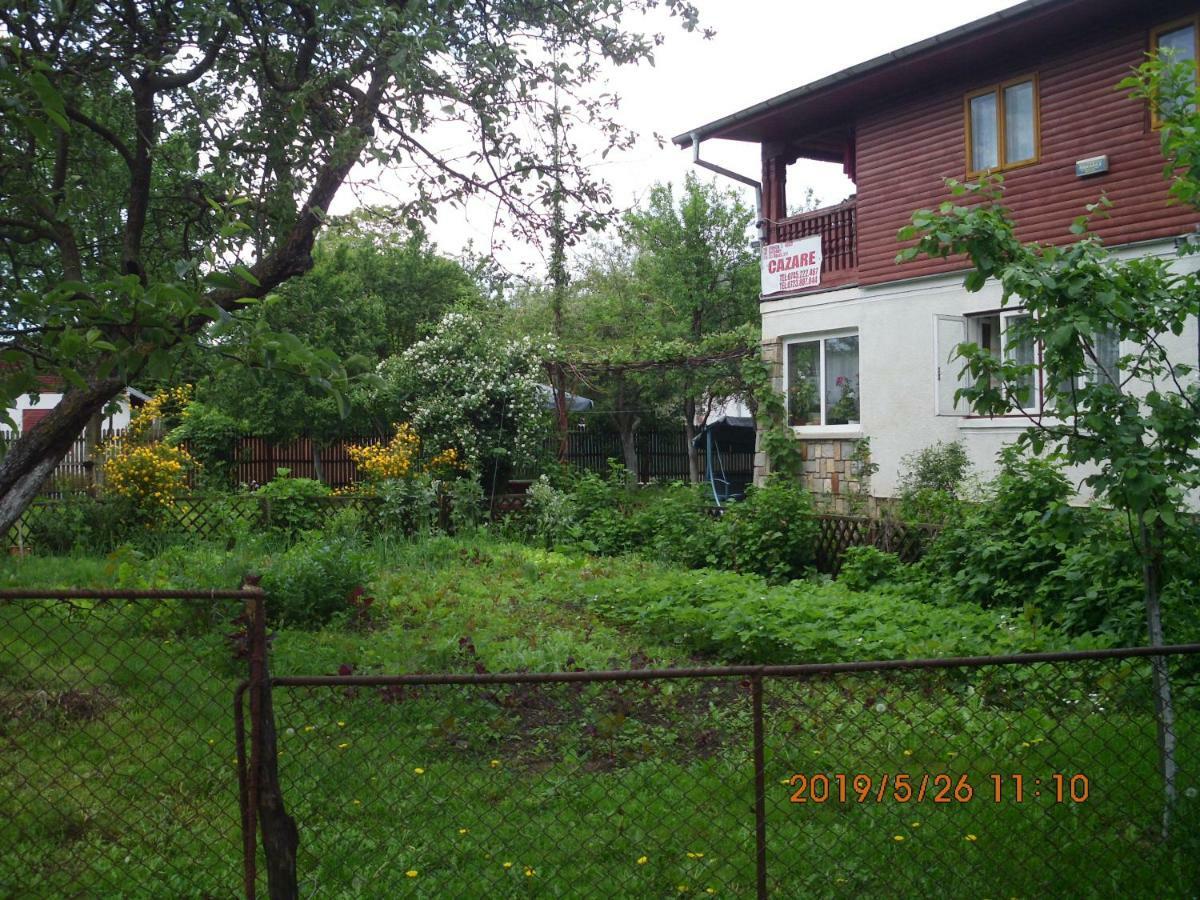 Vila Mihaela บราซา ภายนอก รูปภาพ