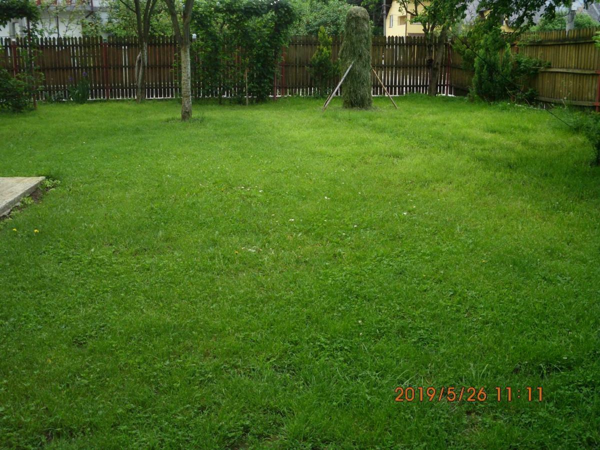 Vila Mihaela บราซา ภายนอก รูปภาพ