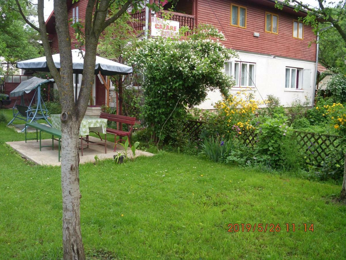 Vila Mihaela บราซา ภายนอก รูปภาพ