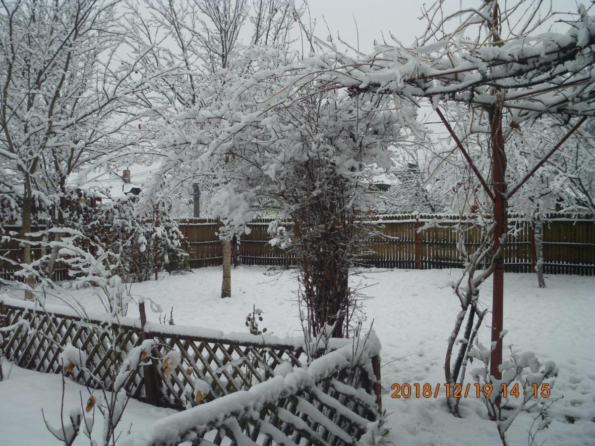 Vila Mihaela บราซา ภายนอก รูปภาพ