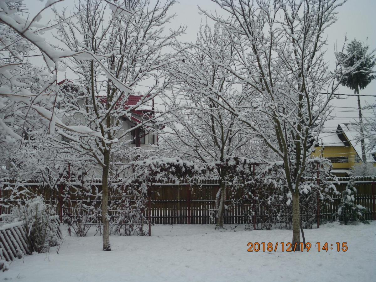 Vila Mihaela บราซา ภายนอก รูปภาพ