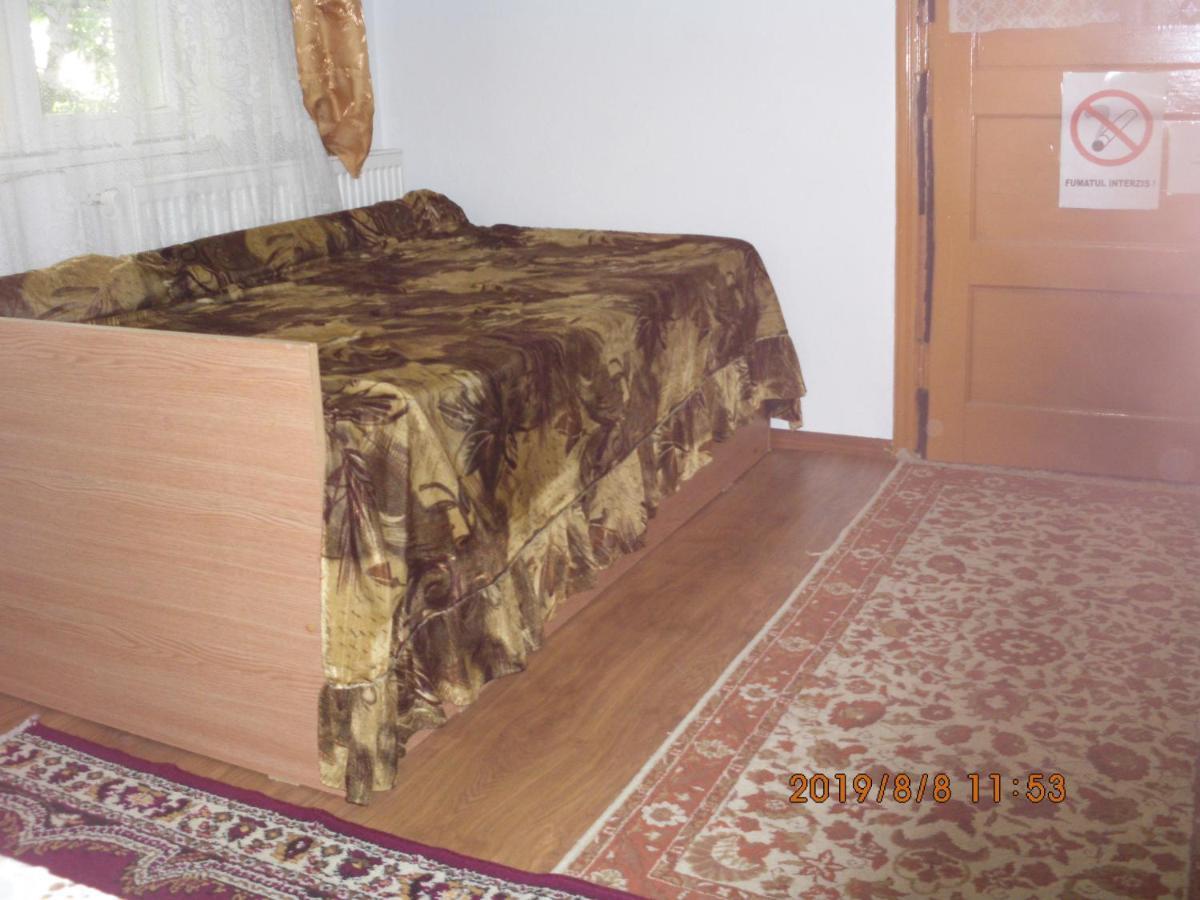 Vila Mihaela บราซา ภายนอก รูปภาพ