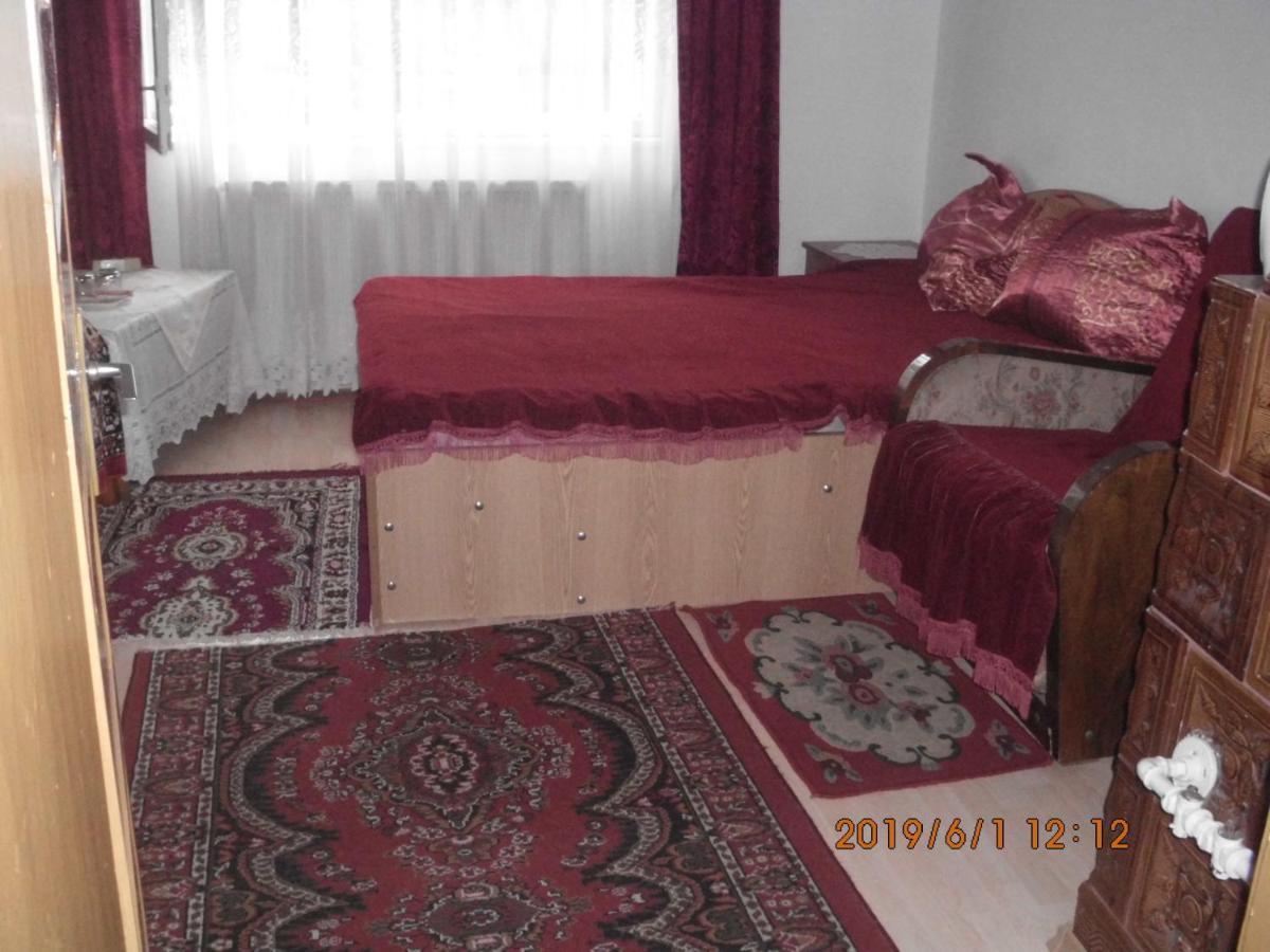 Vila Mihaela บราซา ภายนอก รูปภาพ